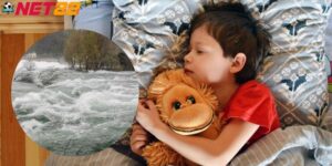 Mơ Thấy Lũ Lụt Tốt Hay Xấu Và Nên Chọn Số Nào Đánh Dễ Trúng?