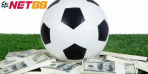 Tip Bóng Đá Là Gì? Cách Sử Dụng Để Cá Độ Thắng Lớn